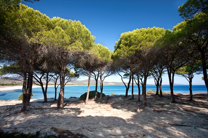 Spiaggia di Budoni, sabbia fine e acque cristalline in Sardegna